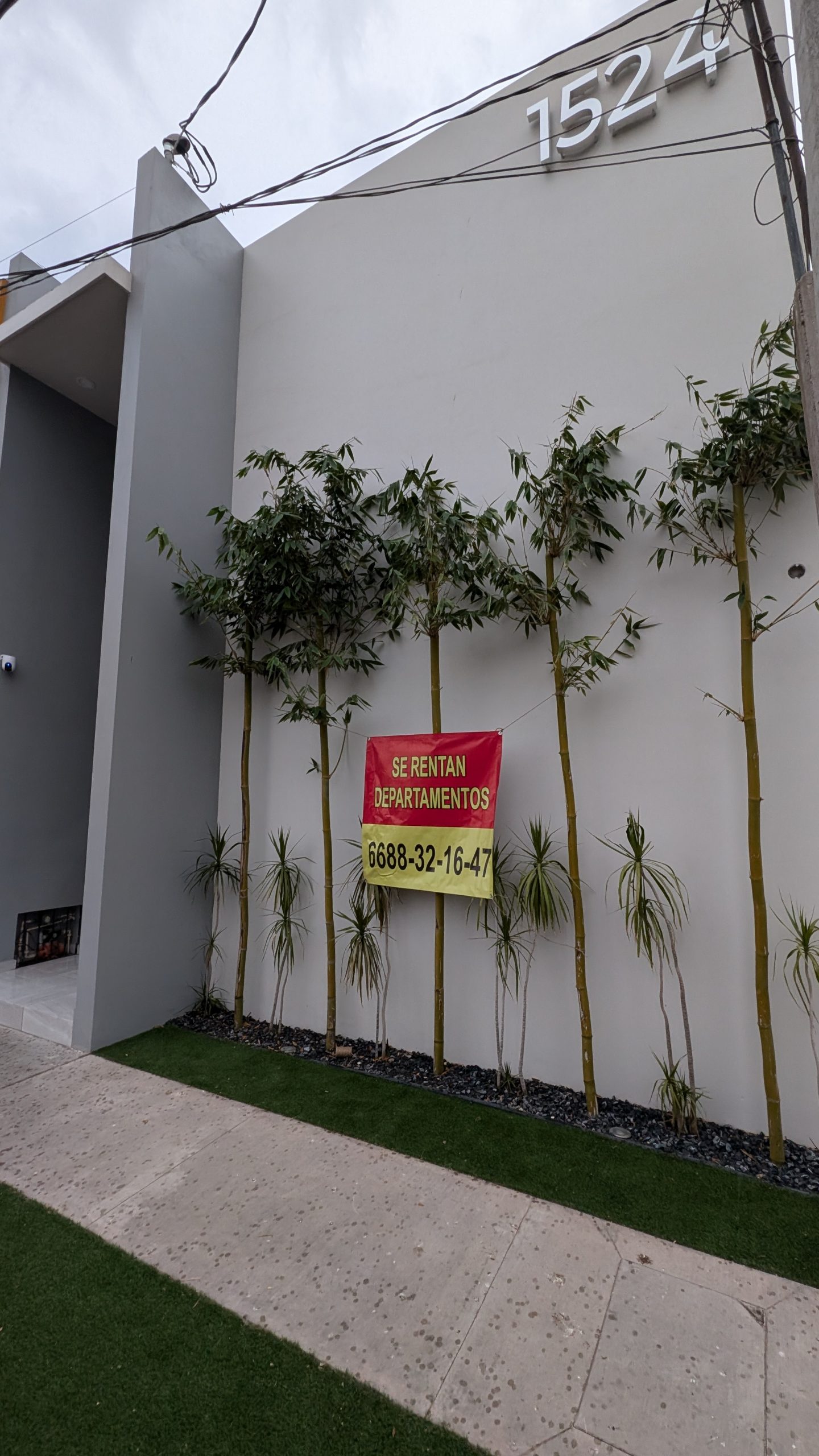 PXL_20240623_011524023